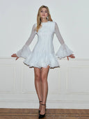 Mariselle Ruffle Sheer Long Sleeve Mini Dress