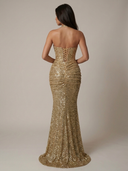 Elara Glitter Formal Sequin Ruched Maxi Dress