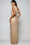 Elaris Diamante One Shoulder Cut Out Maxi Dress