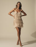 Evelina Statement Feather Mini Dress