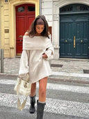 Danika Pullover Mini Knit Dress 4